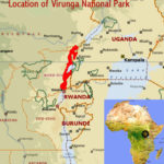 Parc des Virunga (c) African Natural Heritage