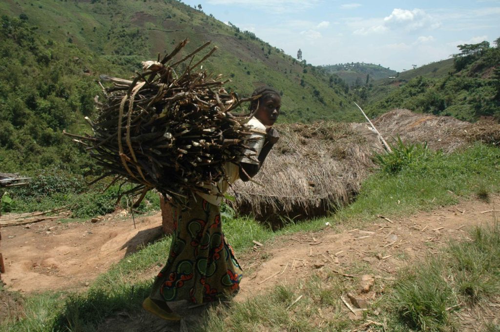 2017_analyse_parc_des_virunga_cd.jpg