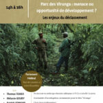 affiche_virunga_final.jpg