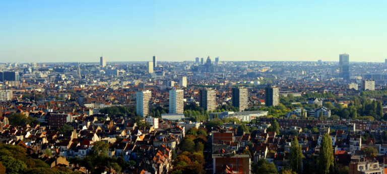 2015_panorama_bruxelles_1_.jpg