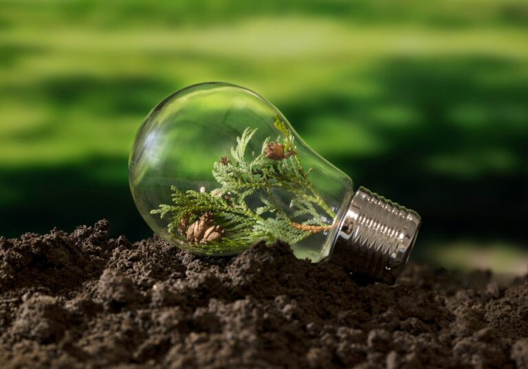 objectifs-developpement-durable-nature-morte_23-2150196695