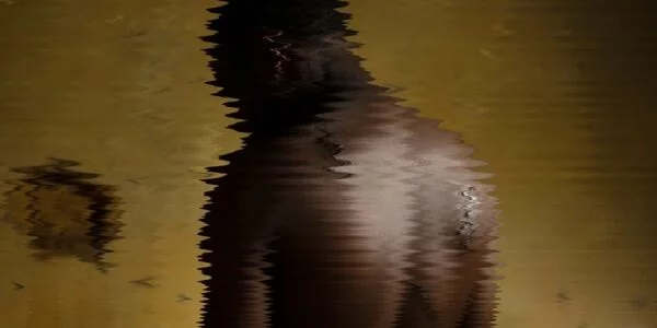 LE-POIDS-DU-SILENCE-FR-NL-1